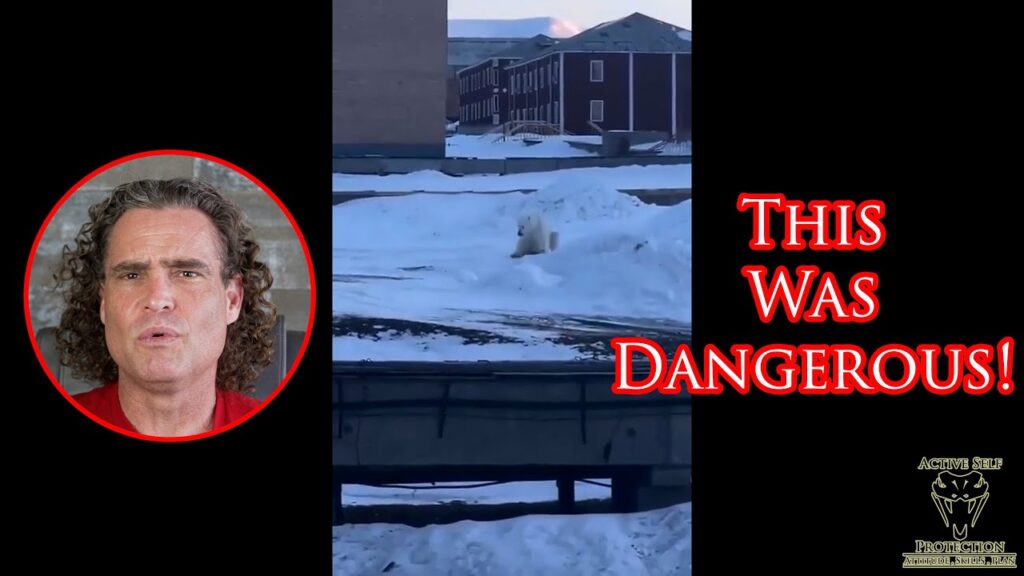 Polar Bear Comes After Villager On Remote Arctic Island