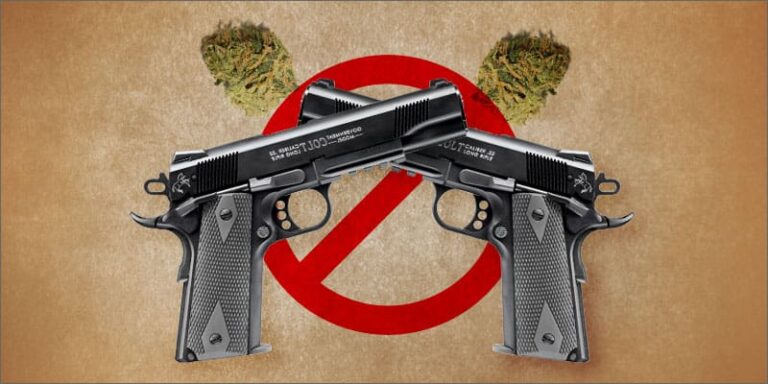 Marijuana Users Still Protected by 2A