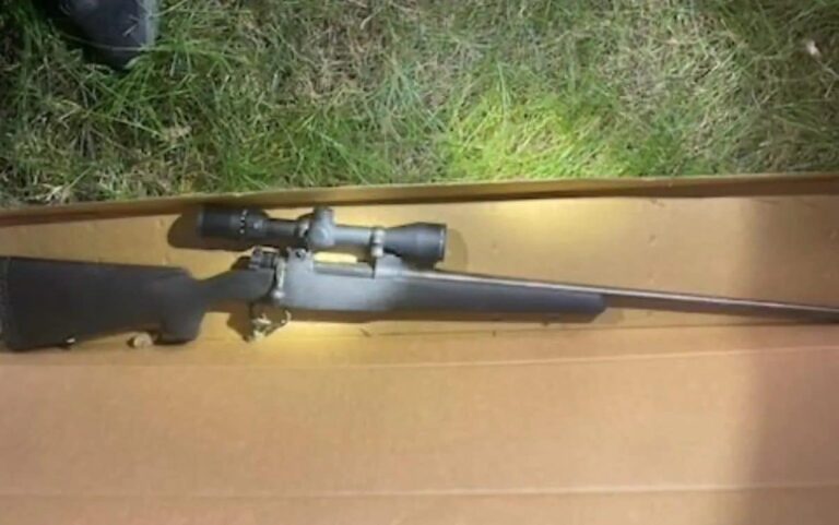 League of Women Voters Pushes Gun Bans After Shootings