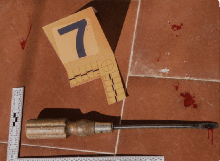 Illinois Mom Shoots Intruder Armed with Screwdriver