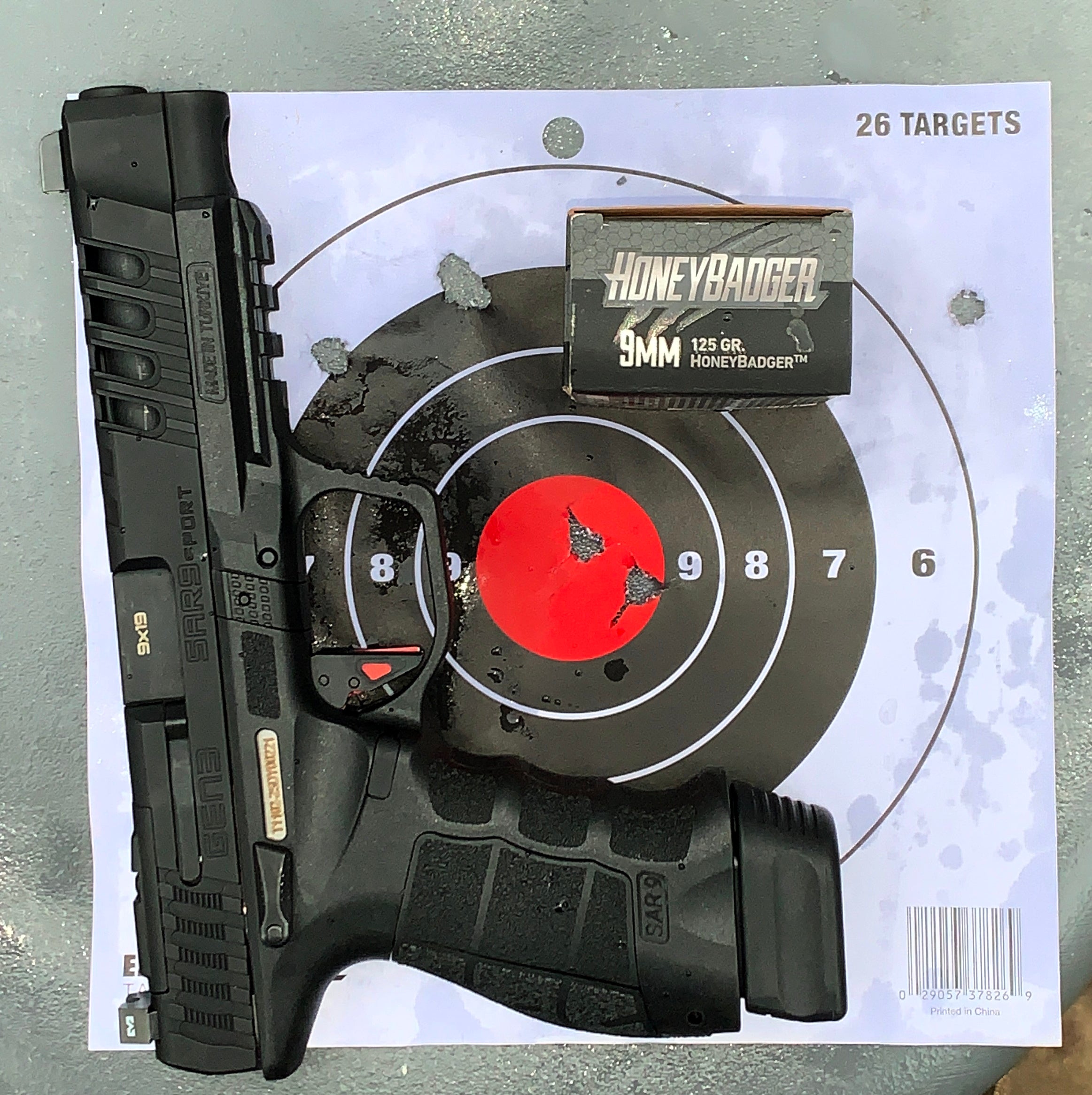 SAR-K12-target1