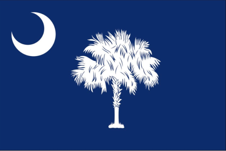 South Carolina Bill Would Protect Gun Makers From Lawsuits